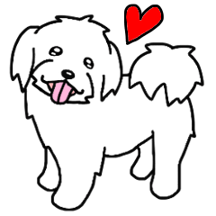 [LINEスタンプ] 犬種別マルチーズ(英語Ver)