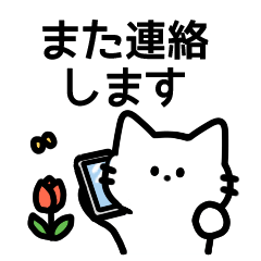 [LINEスタンプ] ねこねこ毎日スタンプ（白猫）