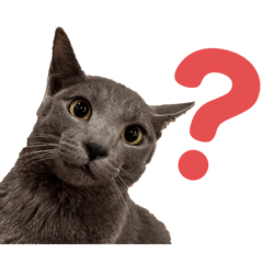 [LINEスタンプ] エレチャコチャイ