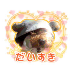 [LINEスタンプ] トイプーレッドチョコ