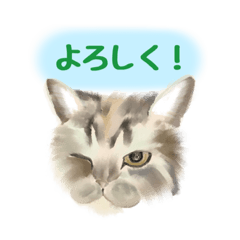 [LINEスタンプ] アチャの日常