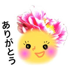 [LINEスタンプ] やまだ森子のお花スタンプ