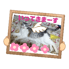 [LINEスタンプ] はるくんの連絡