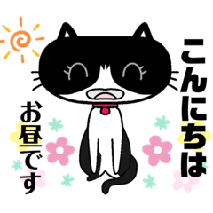 [LINEスタンプ] ハチワレ猫の日常会話mmy