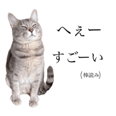 [LINEスタンプ] しもてぃーず 5