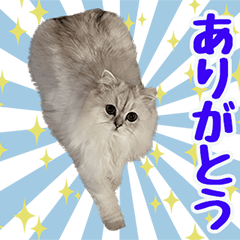 [LINEスタンプ] ロイ君☆まろんちゃん☆ナナちゃん☆【改】