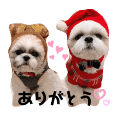 [LINEスタンプ] むーちゃんらーちゃんスタンプ♡