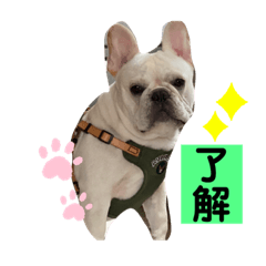 [LINEスタンプ] りくおくんLIFE②