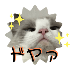 [LINEスタンプ] じごくぬこにゃりゅーぜすたんぷ2