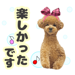 [LINEスタンプ] ペニ子☆日常語⑰