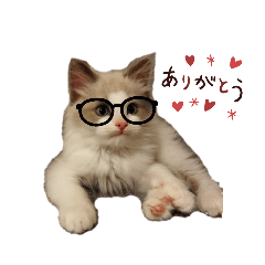 [LINEスタンプ] LoveJohnny