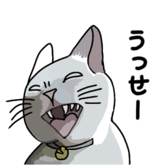 [LINEスタンプ] 猫と猫の仲間