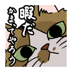 [LINEスタンプ] メビたぬむっくん