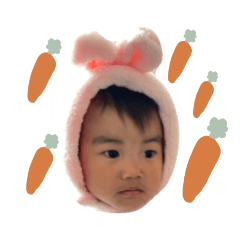 [LINEスタンプ] 個性豊かな仲間スタンプ