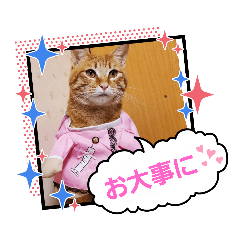 [LINEスタンプ] みる むぎ 応援スタンプ