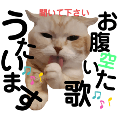 [LINEスタンプ] ねこのサスケさん銀次くん