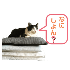 [LINEスタンプ] のんびりみつおくん