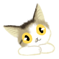 [LINEスタンプ] きじ猫のけんしん基本のご挨拶