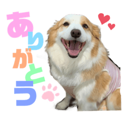 [LINEスタンプ] レッボーの『ジュピ』