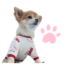 [LINEスタンプ] Chamu④
