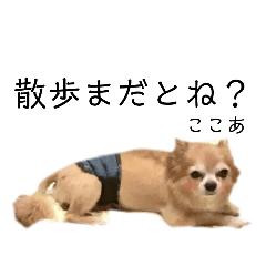 [LINEスタンプ] 僕たち・私たち