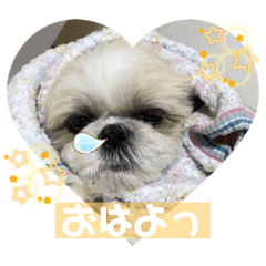[LINEスタンプ] むーちゃんらーちゃんスタンプ✴︎