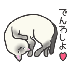 [LINEスタンプ] かしこ猫ミニー