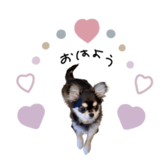 [LINEスタンプ] ♡MARI様
