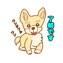 [LINEスタンプ] 毎日なかよし⭐チワワンあいさつ