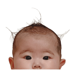 [LINEスタンプ] ふみっこちゃん