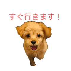 [LINEスタンプ] みるきぃです。