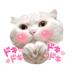 [LINEスタンプ] ドスコイほたるのスコ日和（第6弾）