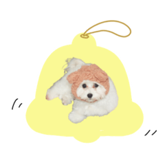 [LINEスタンプ] ♡ももね様