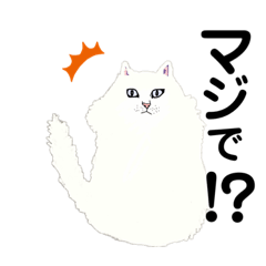 [LINEスタンプ] シロネコの言葉スタンプ