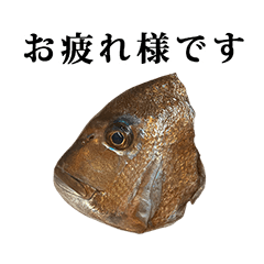 [LINEスタンプ] 鯛のお頭 と 敬語の画像（メイン）