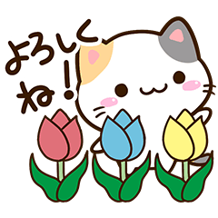 [LINEスタンプ] 春★小さい三毛猫の画像（メイン）