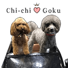 [LINEスタンプ] Goku ＆ Chi-chi's sticker