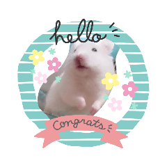 [LINEスタンプ] はーみーのかわいいスタンプ