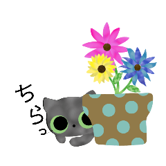 [LINEスタンプ] まん丸お目のにゃんこ9