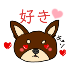 [LINEスタンプ] 毎日使えるスタンプ(チワワ)☆ぷっち