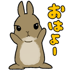 [LINEスタンプ] うちのうさちゃんず