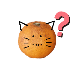 [LINEスタンプ] 野良のみかん猫