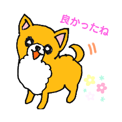 [LINEスタンプ] こんちわわたち