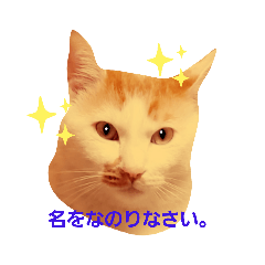 [LINEスタンプ] ボクは可愛いはず。