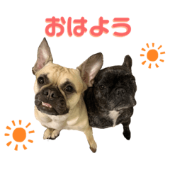 [LINEスタンプ] 柚と大吉の一言