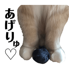 [LINEスタンプ] 雑に切り取られた猫