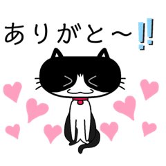 [LINEスタンプ] 猫猫猫mmy