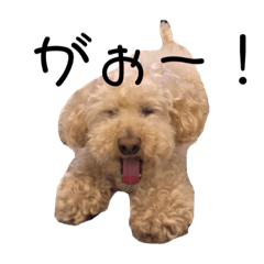 [LINEスタンプ] きなこ一家