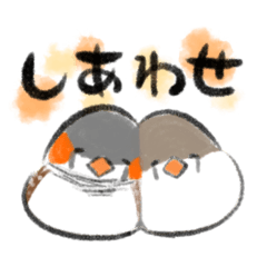 [LINEスタンプ] やわらかめのきんかちょう