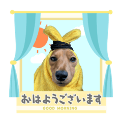 [LINEスタンプ] フジアースフィールド
